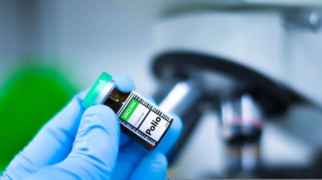 αγρια-μορφή-ιού-που-προκαλεί-πολιομυε-563917147