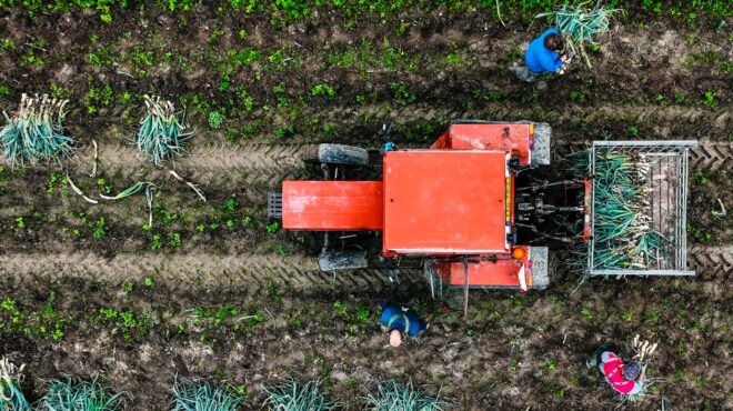 σε-υπαρξιακή-κρίση-οι-φάρμες-του-βελ-563920261