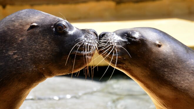 πότε-και-κυρίως-από-ποιον-δόθηκε-το-πρ-563928790