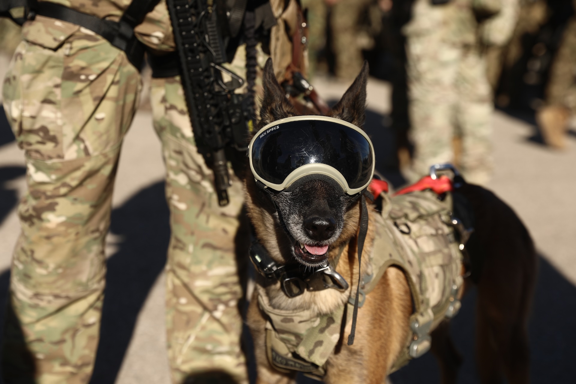 Ωρίων 2025: Εντυπωσιακές εικόνες από την άσκηση των Ειδικών Δυνάμεων-5