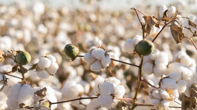 στον-όμιλο-efthymiadis-agrotechnologies-τρεις-ισπανικές-εται-563956480