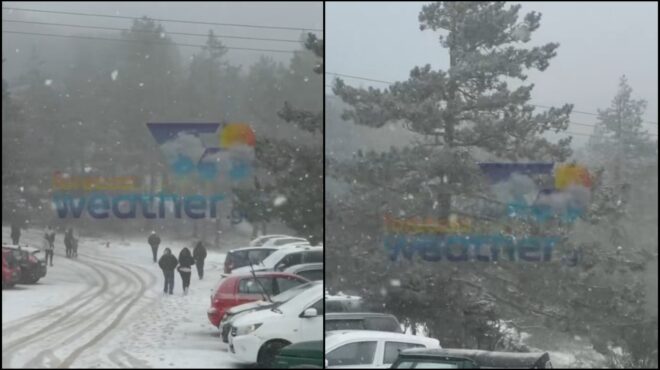 στα-λευκά-η-πάρνηθα-διεκόπη-η-κυκλ-564001807