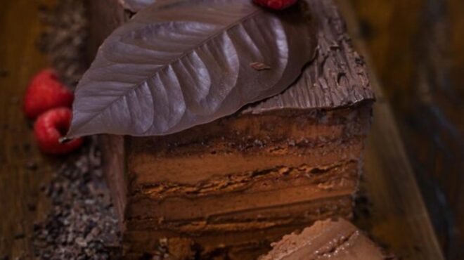 κορμός-σοκολάτας-από-τον-στέλιο-παρλι-563994433