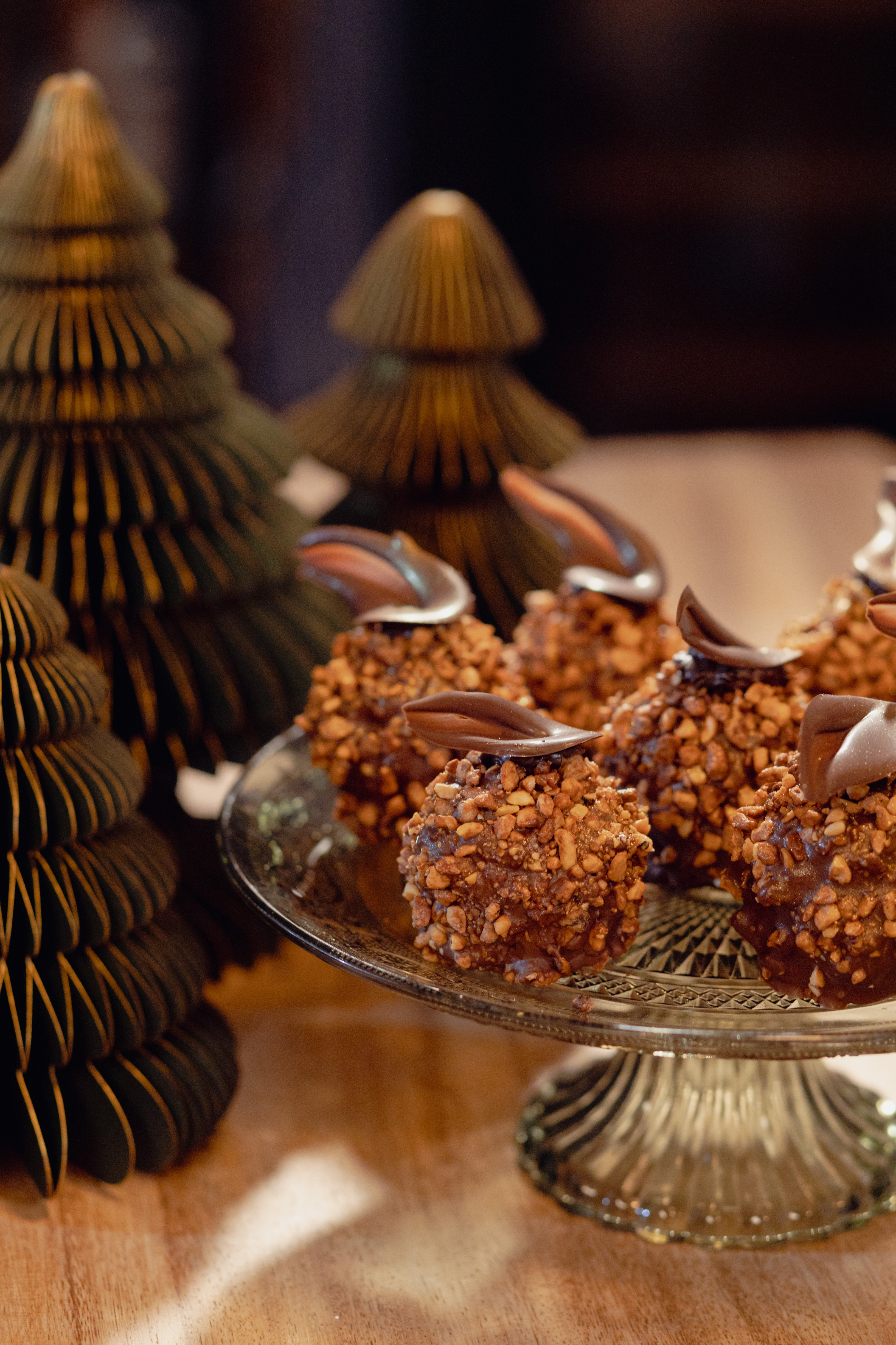 Χριστούγεννα με την Aria-1