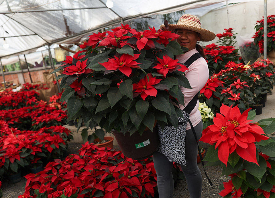 Στην τελική ευθεία-1