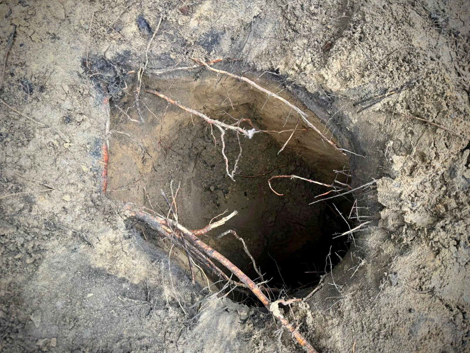 Πολωνία: Μετανάστες περνούν τα σύνορα από αυτοσχέδιες σήραγγες (βίντεο)-1