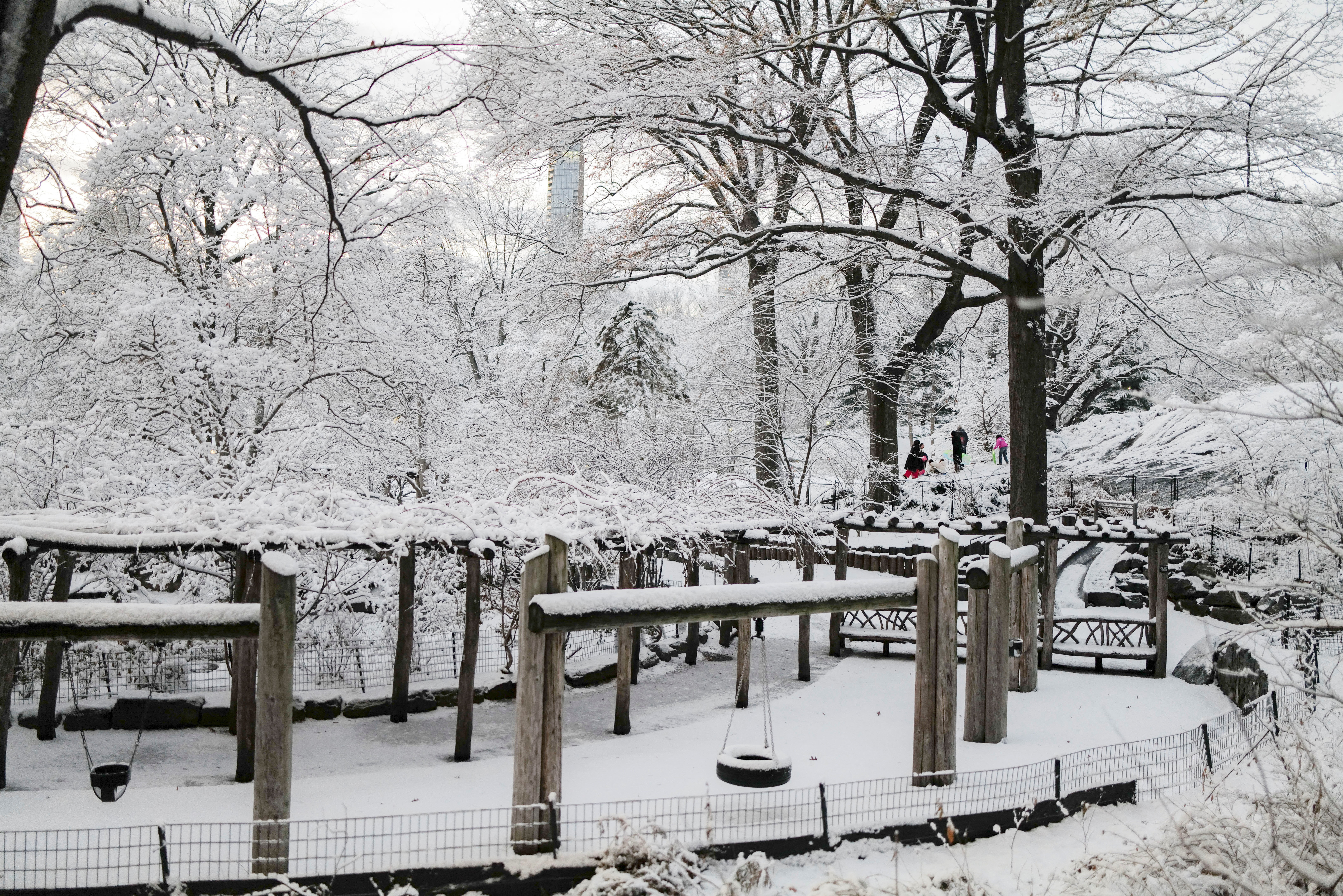 H Νέα Υόρκη ντύθηκε στα λευκά – Μαγικές εικόνες από το Σέντραλ Παρκ-6