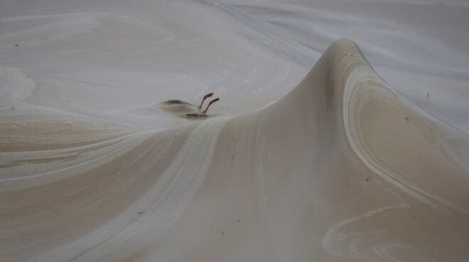 στα-νερά-της-οδησσού-563994709