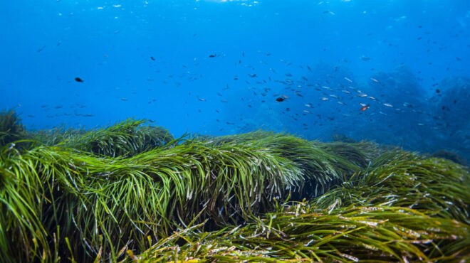 πώς-θα-αντέξουν-τις-διαρκείς-πιέσεις-ο-563969977