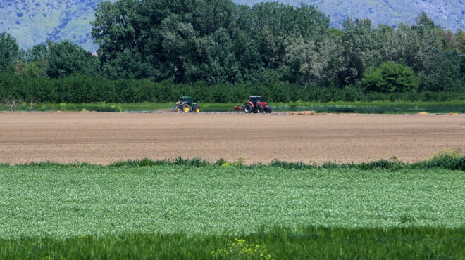 υπ-αγροτικής-ανάπτυξης-επιλύθηκε-το-τ-563980663