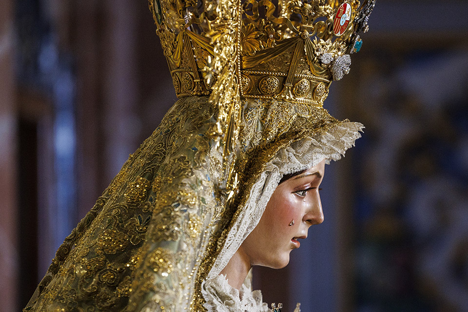 Σκύλοι για ρεκόρ-2