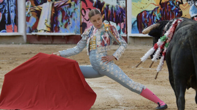 η-κυρία-και-ο-ταύρος-563998645