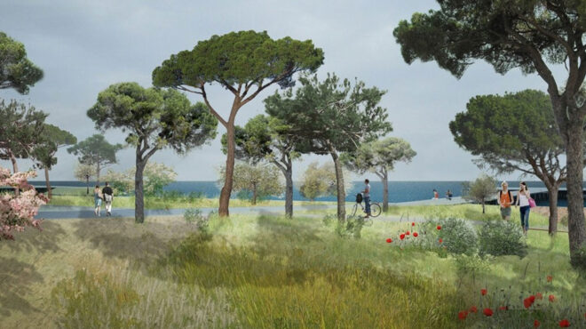 μία-προσφορά-για-το-μητροπολιτικό-πάρ-563982154