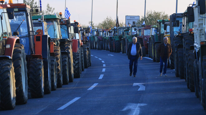 οι-αγρότες-ετοιμάζονται-για-χριστούγ-563954671