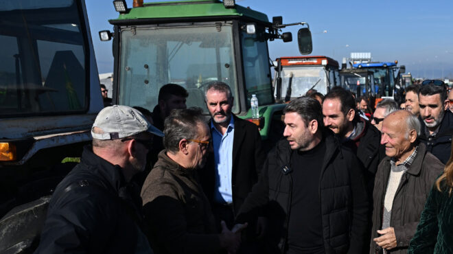 ανδρουλάκης-αποστάσεις-από-ακραίες-σ-563967676