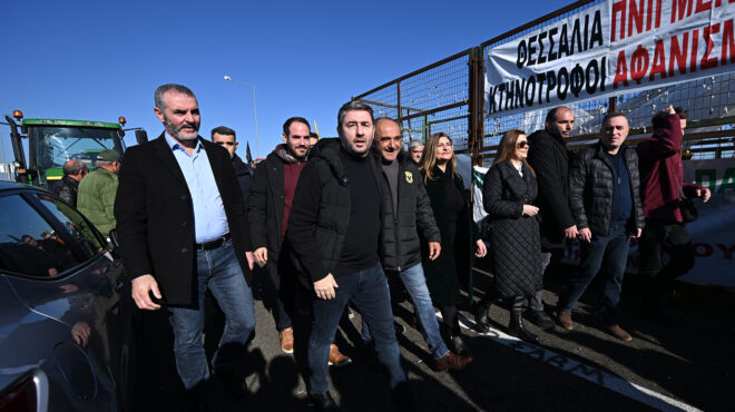 ανδρουλάκης-σε-αγρότες-ο-πρωτογενής-τ-563965972