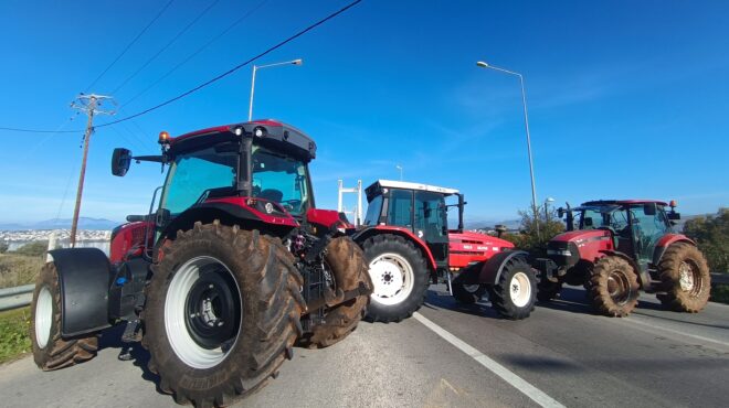λαμία-συνελήφθη-53χρονη-που-προέτρεπε-σ-563972095