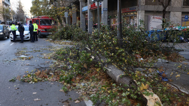 θυελλώδεις-άνεμοι-στην-κεντρική-μακε-563997679