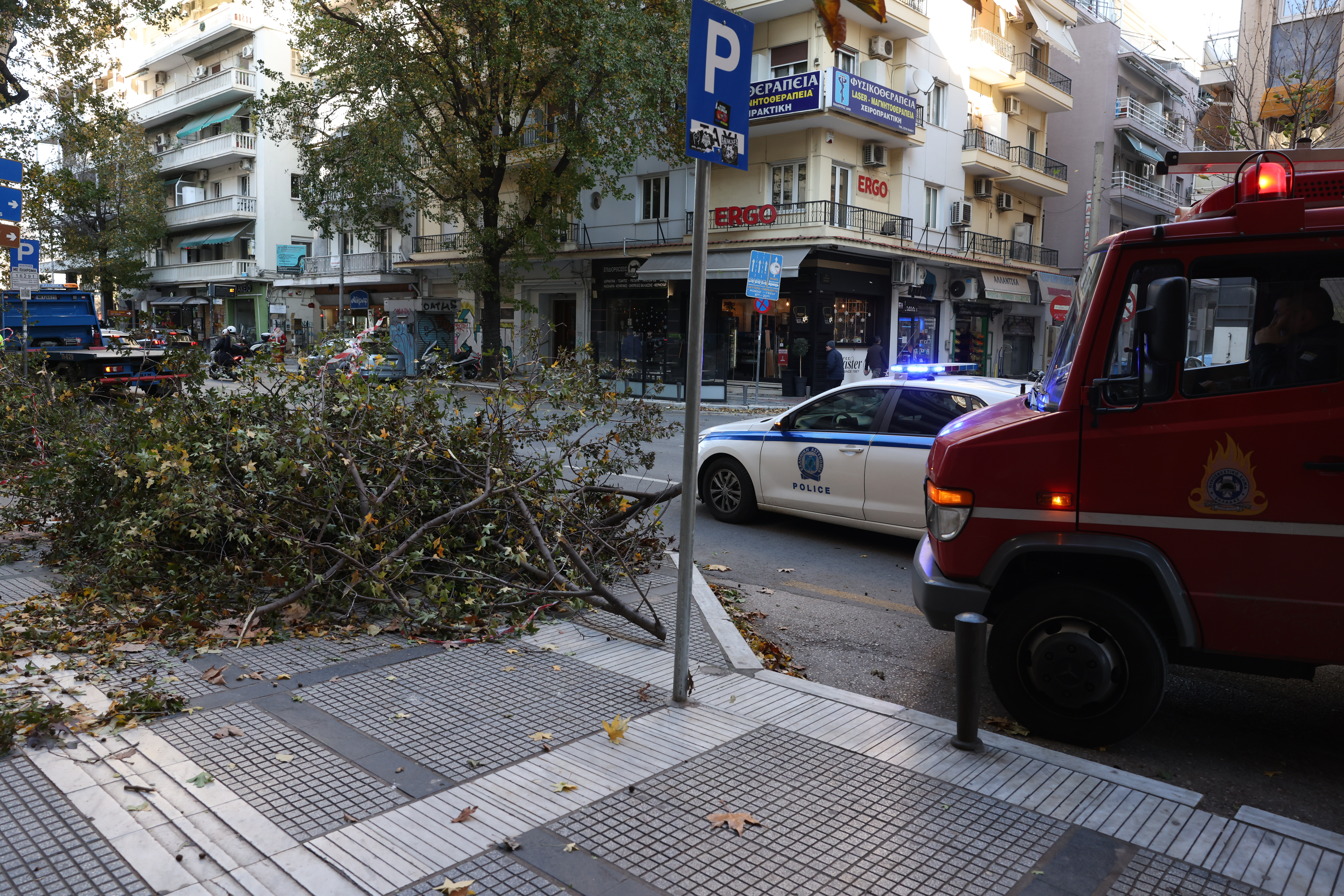Θυελλώδεις άνεμοι στην Κεντρική Μακεδονία: 710 κλήσεις στην πυροσβεστική και πτώσεις δένδρων [φωτογραφίες και βίντεο]-2