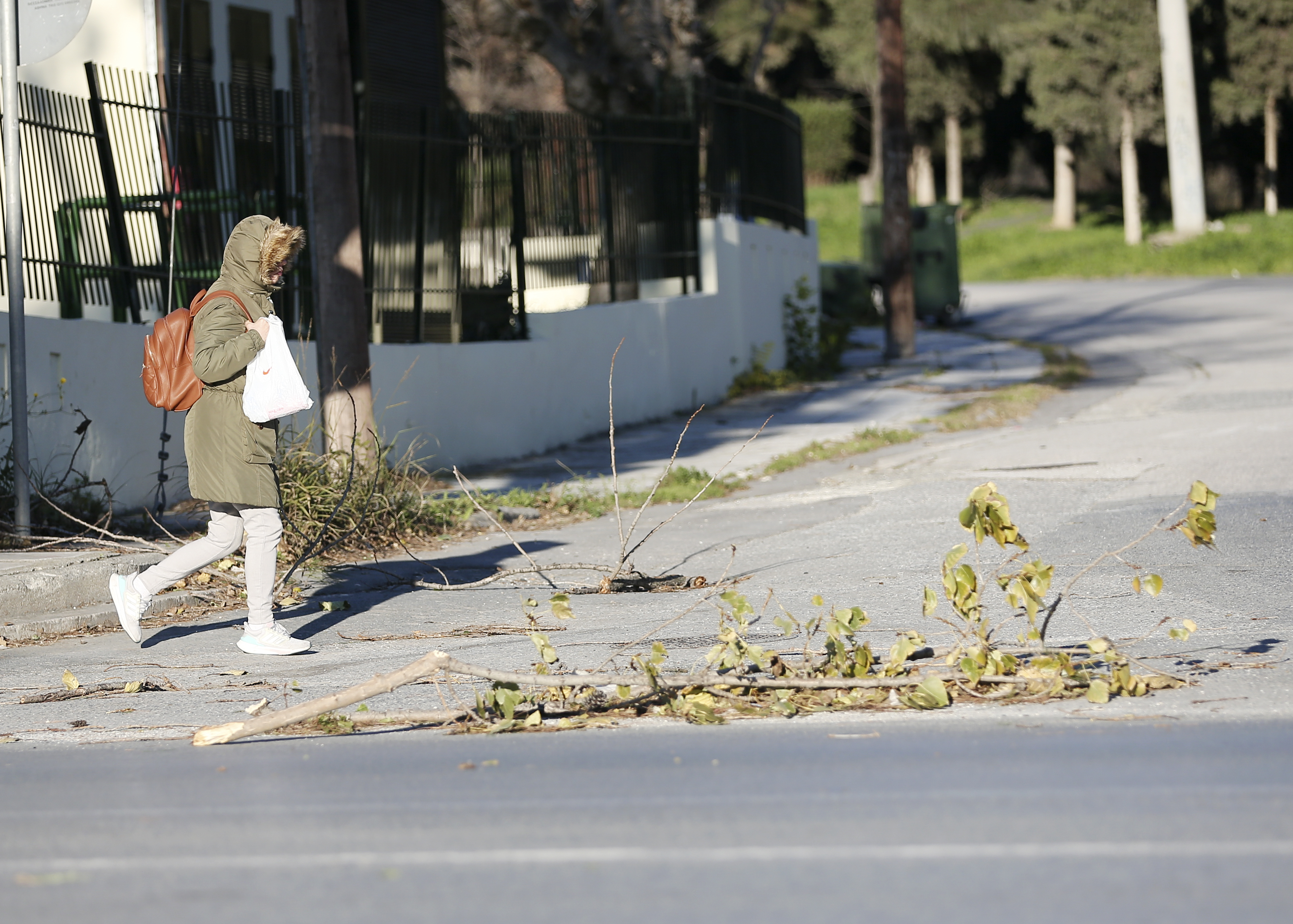 Θεσσαλονίκη: Πτώσεις δεκάδων δέντρων και πινακίδων από τους ισχυρούς ανέμους 8 μποφόρ-2