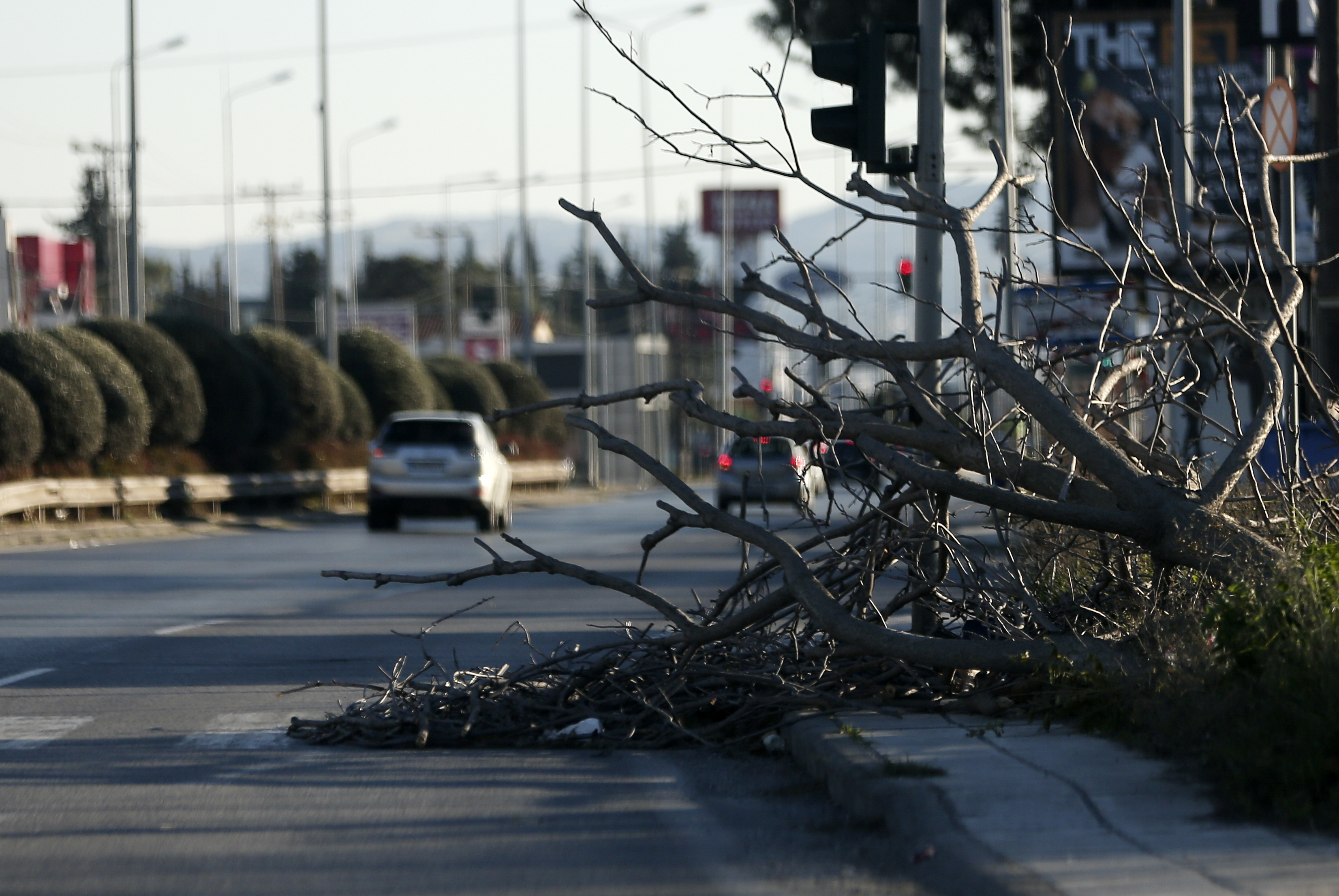 Θυελλώδεις άνεμοι στην Κεντρική Μακεδονία: 710 κλήσεις στην πυροσβεστική και πτώσεις δένδρων [φωτογραφίες και βίντεο]-1