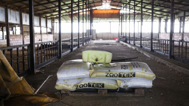 ακριβά-τα-κρέατα-ενώ-αναμένονται-οι-αν-563956786