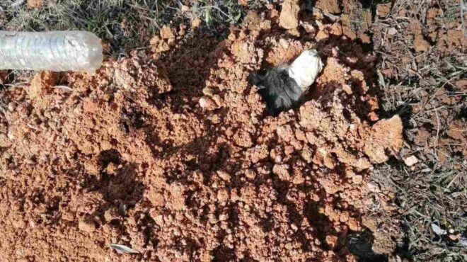 θεσσαλονίκη-90χρονος-έδεσε-με-χαρτοται-563970115