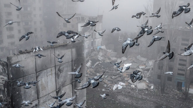 οταν-η-ζωή-επιμένει-563951464