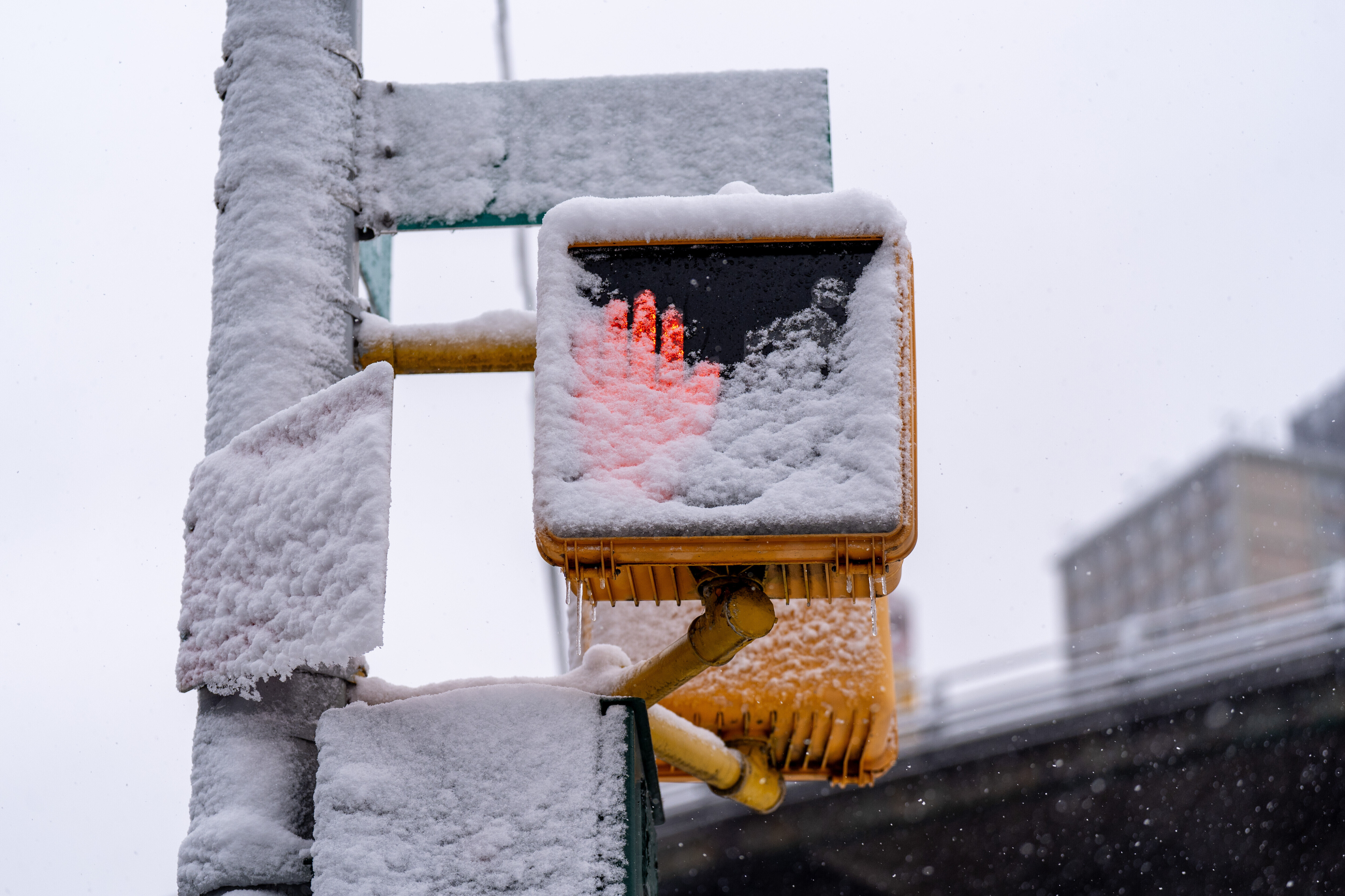 H Νέα Υόρκη ντύθηκε στα λευκά – Μαγικές εικόνες από το Σέντραλ Παρκ-2