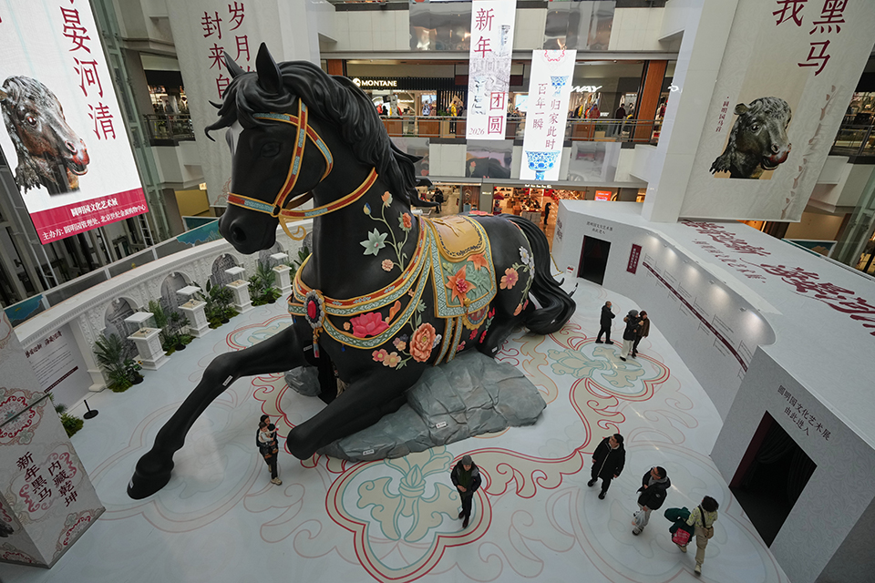 Η κυρία και ο ταύρος-2