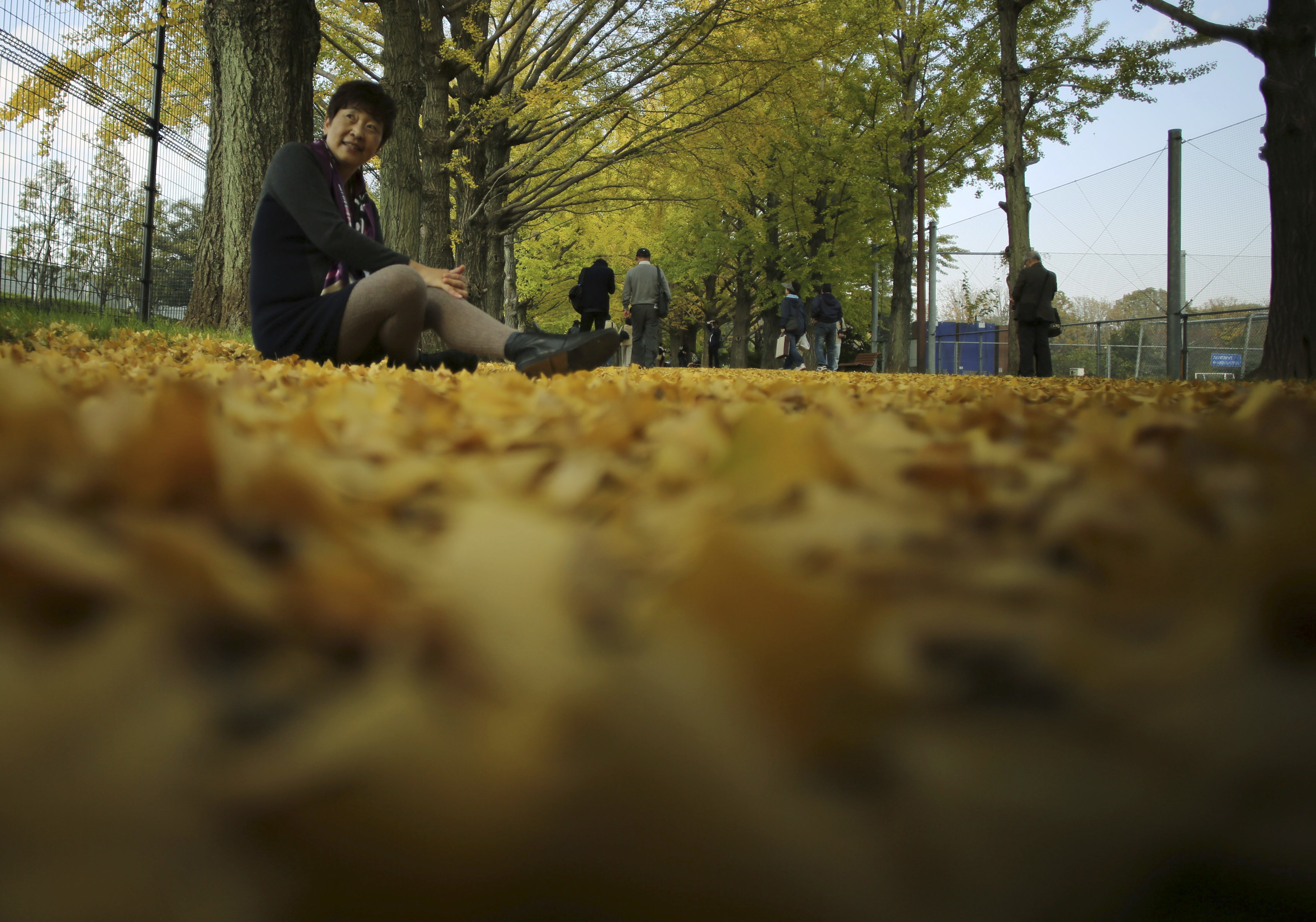 Φθινοπωρινή μυσταγωγία στην Ιαπωνία: Οταν οι φυλλωσιές βάφονται κόκκινες-4