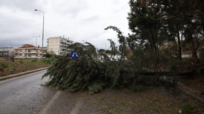 θεσσαλονίκη-δεκάδες-πτώσεις-δέντρων-563997292