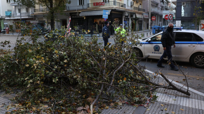 θεσσαλονίκη-πτώσεις-δεκάδων-δέντρων-563997466