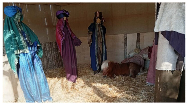 βόλος-αντιδράσεις-φιλόζωων-για-το-ζων-563972788