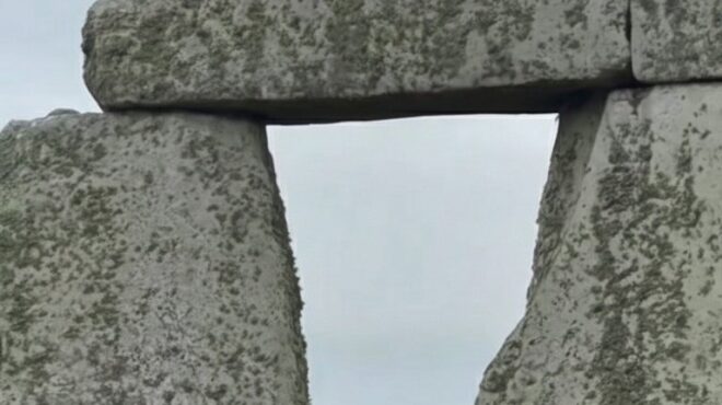 σπουδαίος-οιωνός-η-μαύρη-γάτα-που-έκ-563992951