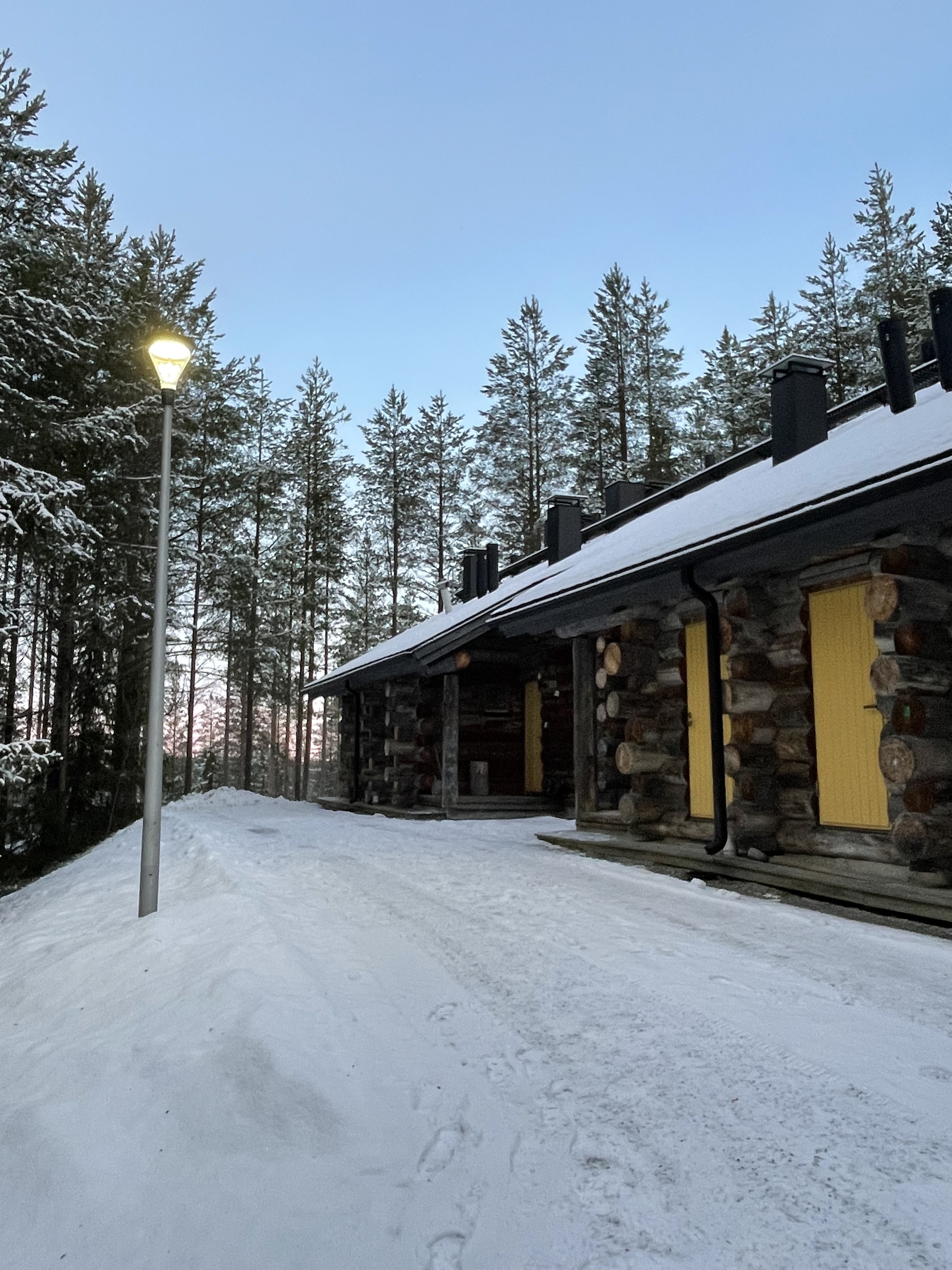 Χειμώνας στον Αρκτικό Κύκλο: Σάμι, Βόρειο Σέλας και διαδρομές στη χιονισμένη φύση-2