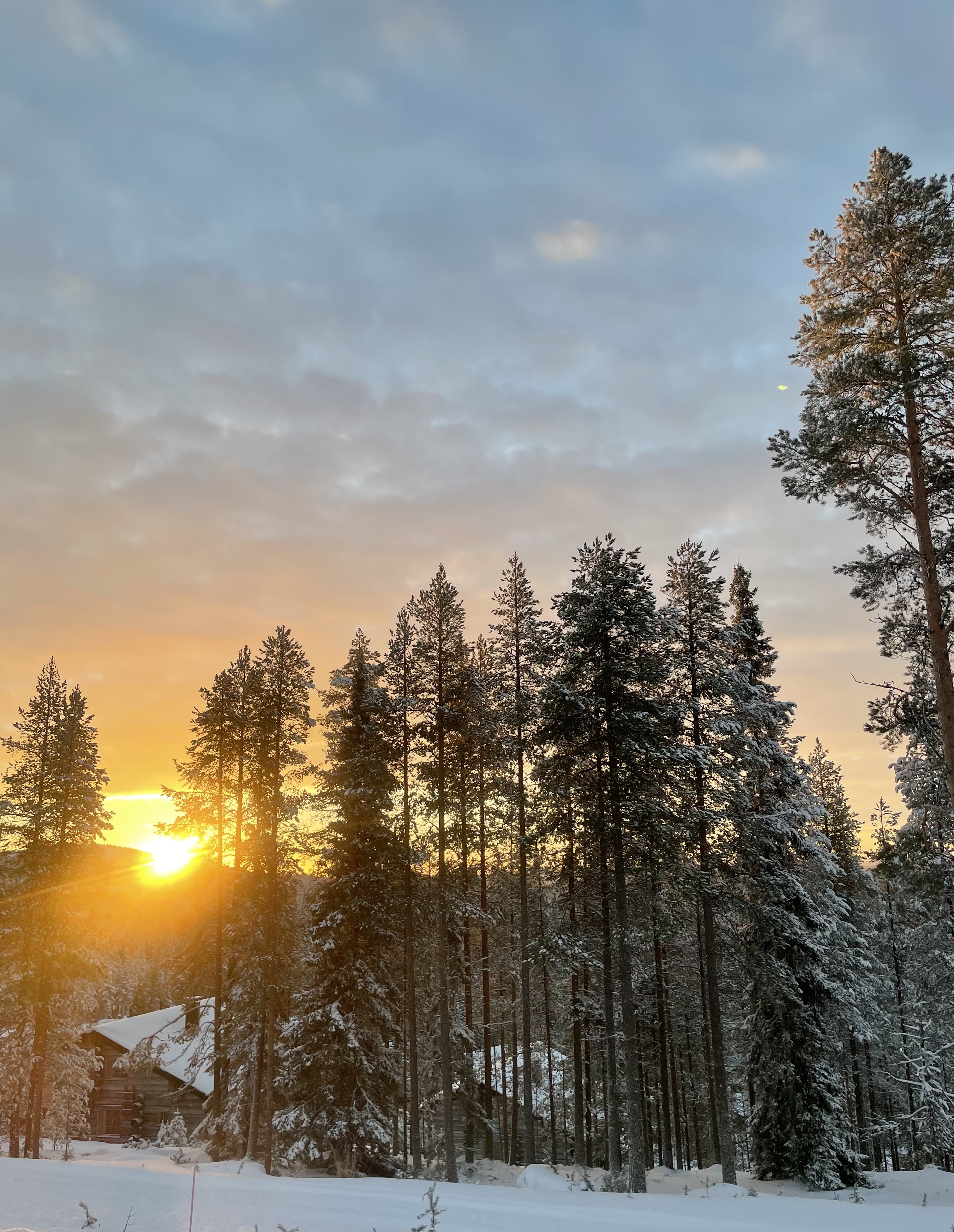 Χειμώνας στον Αρκτικό Κύκλο: Σάμι, Βόρειο Σέλας και διαδρομές στη χιονισμένη φύση-1
