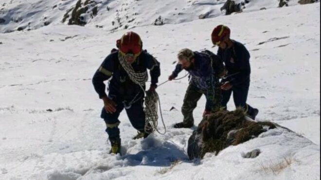 ταΰγετος-επιχείρηση-διάσωσης-28χρονου-563968015