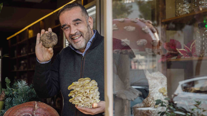 μανιταριών-γεύσεις-τα-άπαντα-των-μανι-563982220