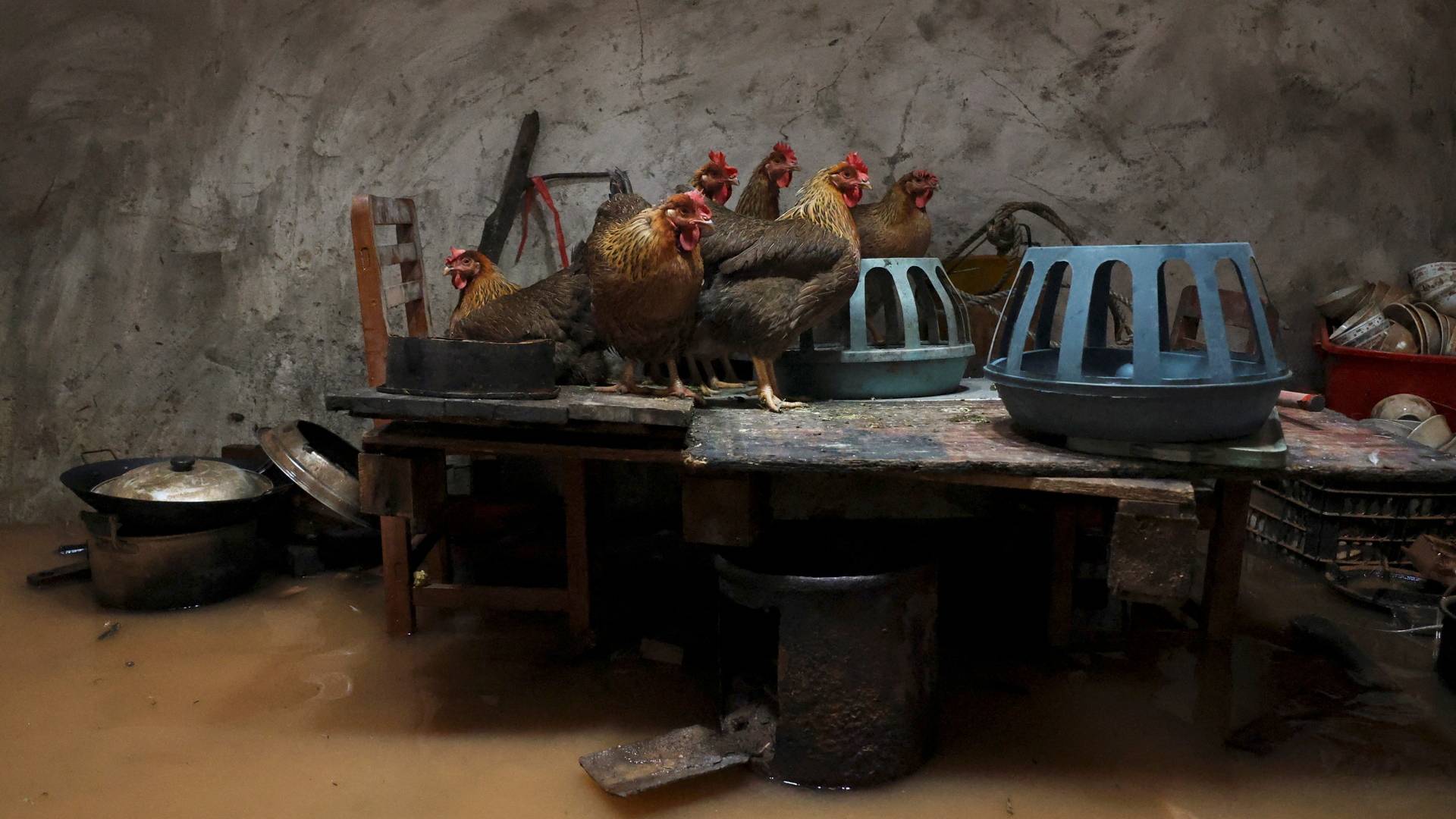 Το 2025 μέσα από 30 φωτογραφίες – Τα γεγονότα που σημάδεψαν τη χρονιά που πέρασε-21