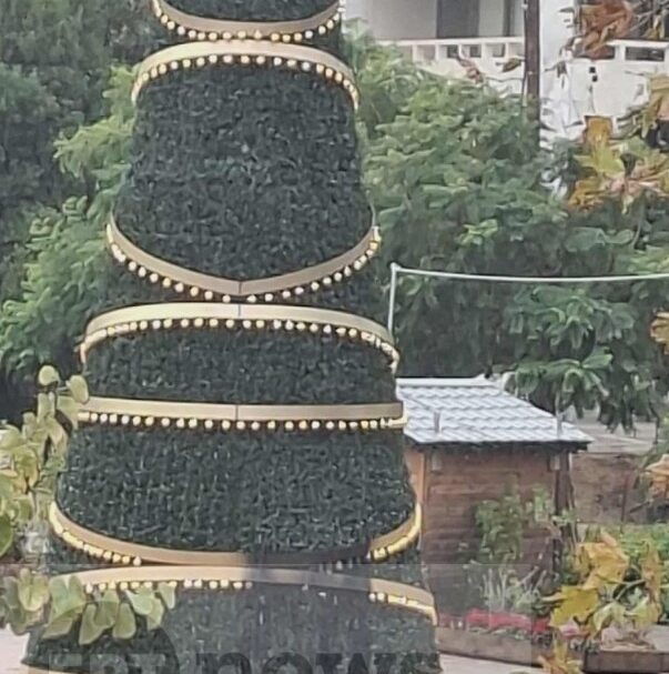 χίος-23χρονος-επιχείρησε-να-κάψει-το-χρ-563960842