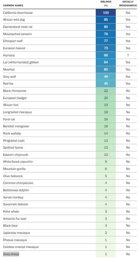 Πόσο μονογαμικός είναι ο άνθρωπος; «Λίγο περισσότερο από τις σουρικάτες», λέει νέα έρευνα-2