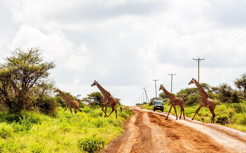 Τα 20 καλύτερα μέρη για να ταξιδέψουμε το 2026-16