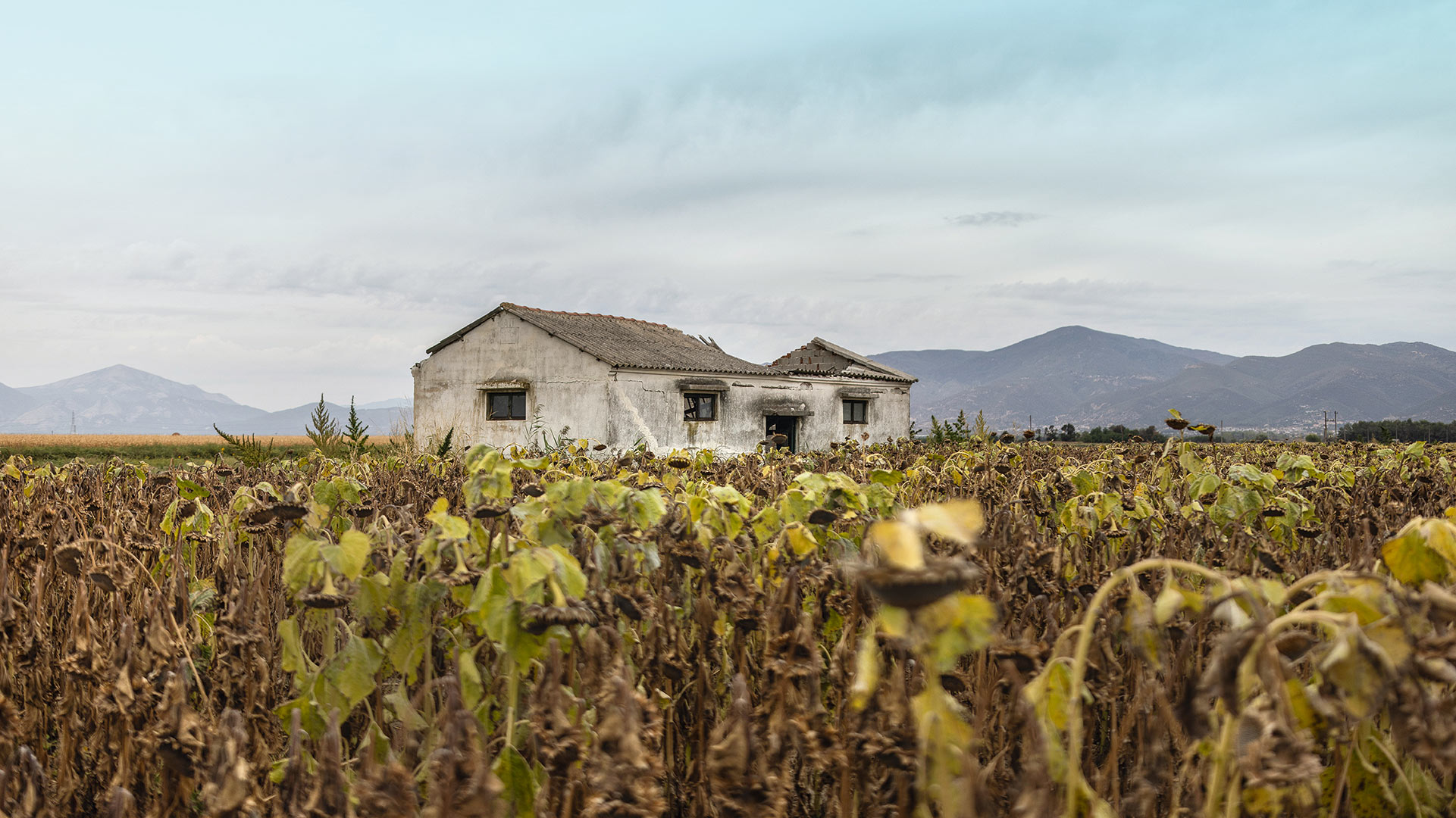 Κι αν η λίμνη Βιστωνίδα γίνει θάλασσα;-4