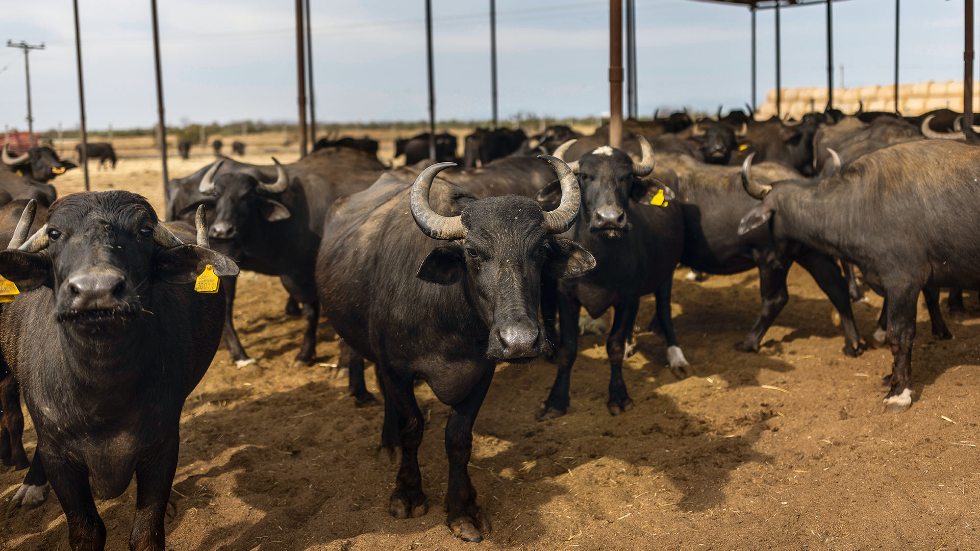 Κι αν η λίμνη Βιστωνίδα γίνει θάλασσα;-7