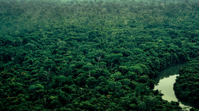 ο-ελληνας-που-διέσχισε-900-χλμ-με-βάρκα-στ-564001870