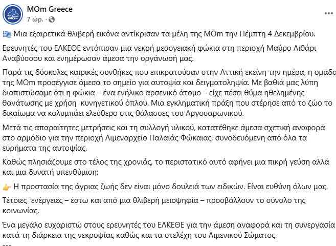 Μαύρο Λιθάρι: Πυροβόλησαν και σκότωσαν μεσογειακή φώκια-2