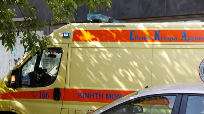 τραγωδία-στη-ζάκυνθο-το-πίτμπουλ-τρό-563964022