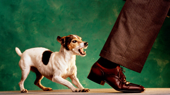 ο-πραγματικός-ένοχος-πίσω-από-τα-περισ-563970616