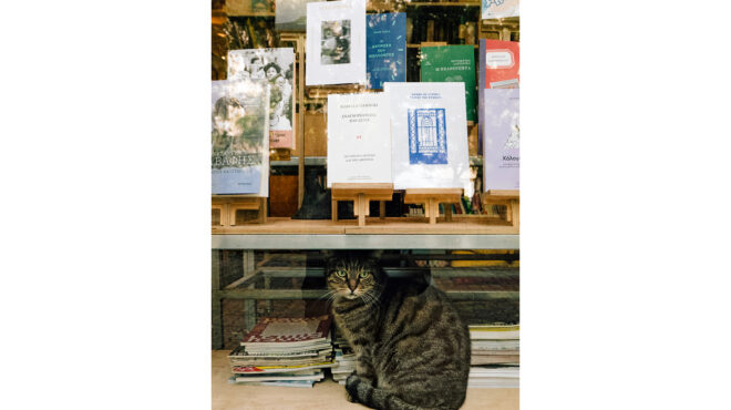 20-ελληνες-συγγραφείς-χαρίζουν-βιβλί-563966590